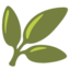 :herb: 🌿