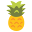 :pineapple: π