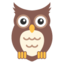 :owl: π¦